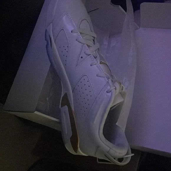 Air Jordan 6 CNY (Year of the Tiger)